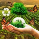 ecologia y medio ambiente